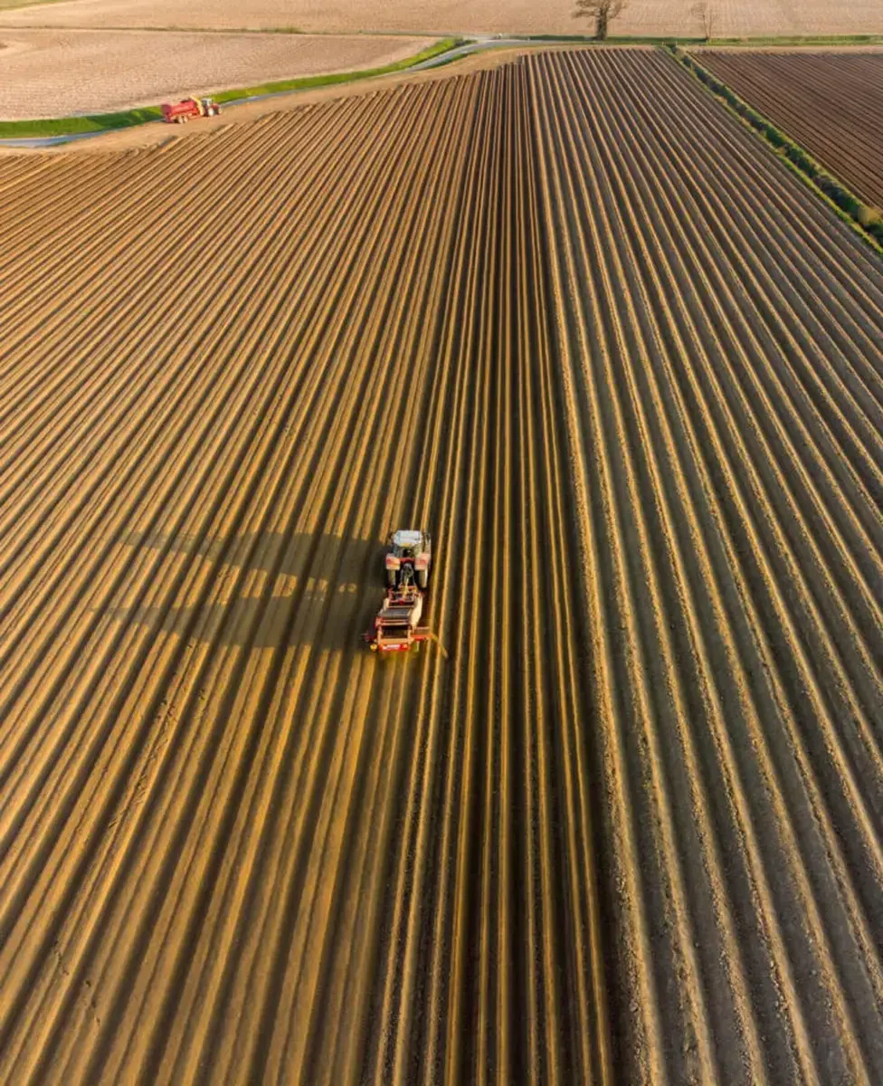 Good, safe food supply chains rely on traceability technology