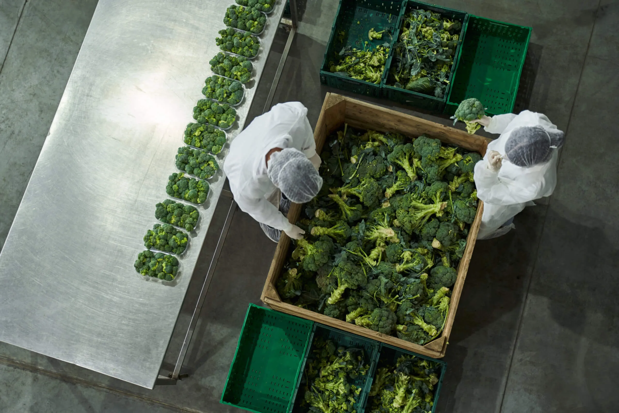 Overcoming the challenges of food traceability