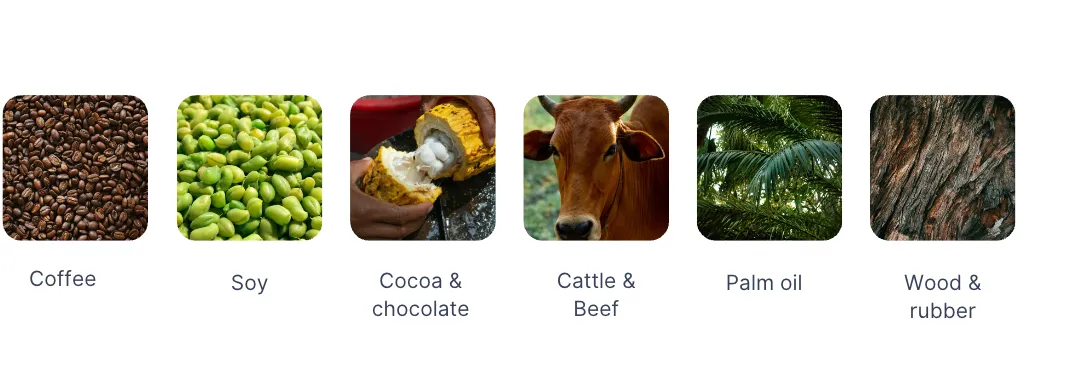 Commodities affected by the EUDR