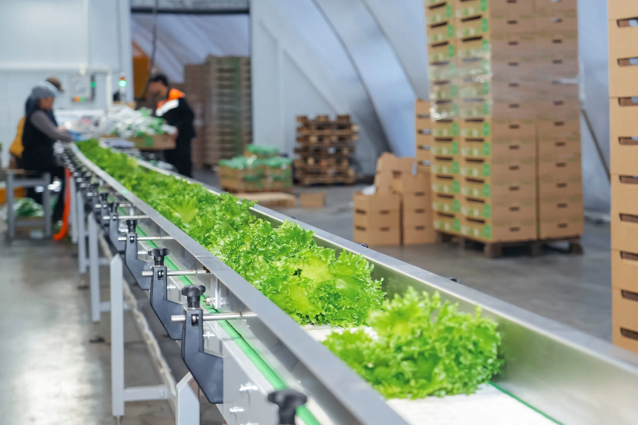 Kezzler and GS1 Mexico launch FSMA 204 food traceability pilot