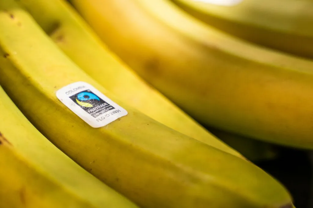 certification on banana