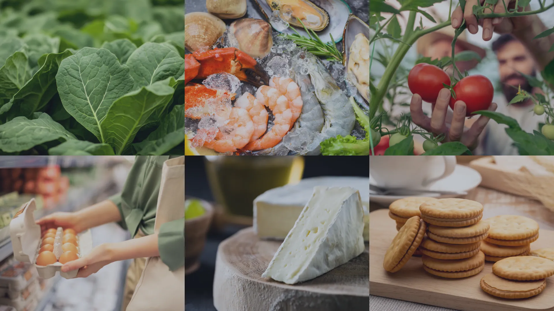 The FSMA 204 delay: a pause, not a pivot